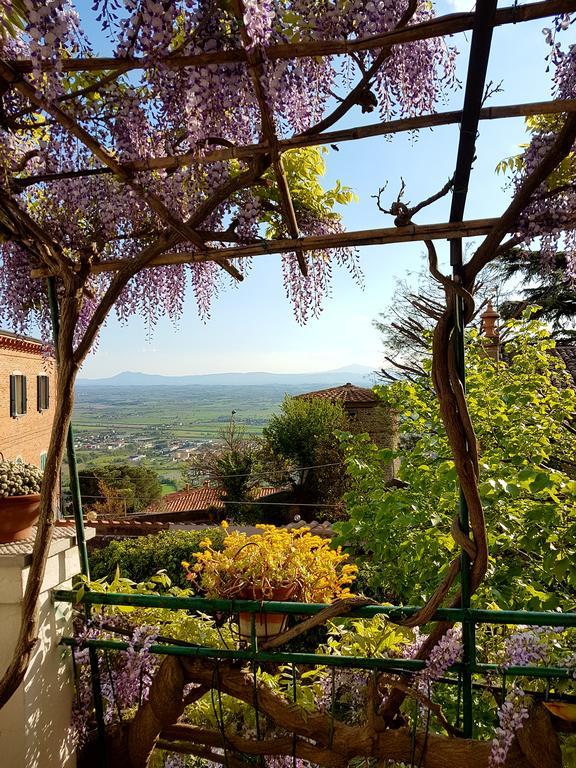 Casa Dell'Ermanna Daire Cortona Dış mekan fotoğraf