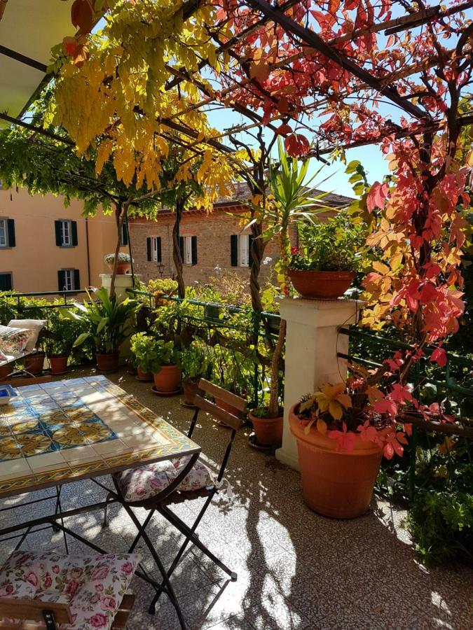 Casa Dell'Ermanna Daire Cortona Dış mekan fotoğraf