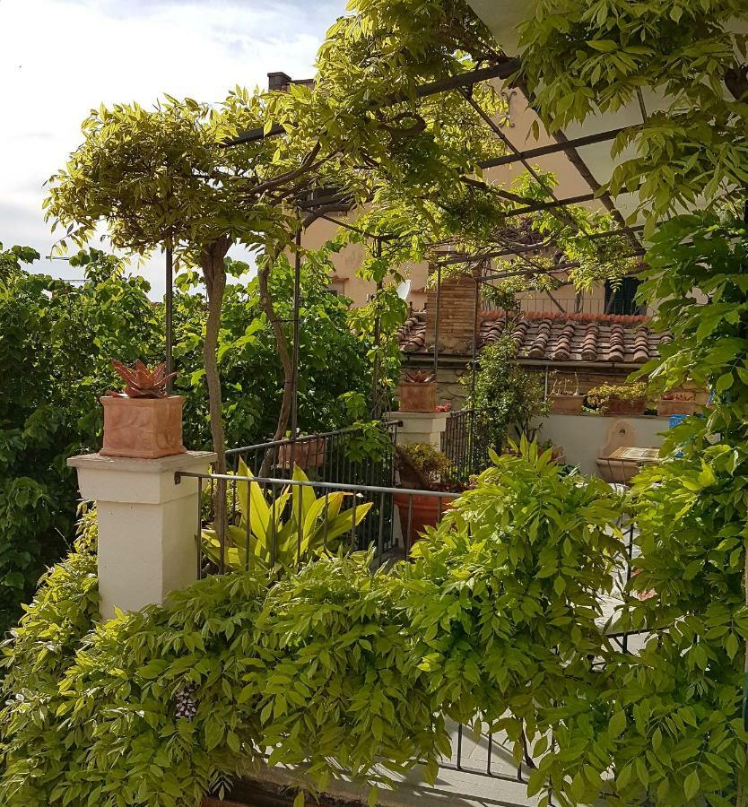 Casa Dell'Ermanna Daire Cortona Dış mekan fotoğraf
