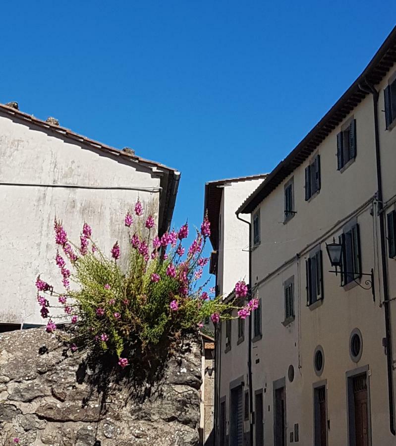 Casa Dell'Ermanna Daire Cortona Dış mekan fotoğraf