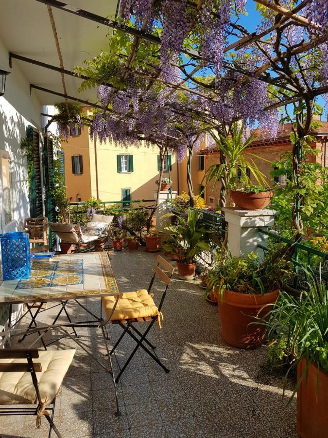 Casa Dell'Ermanna Daire Cortona Dış mekan fotoğraf